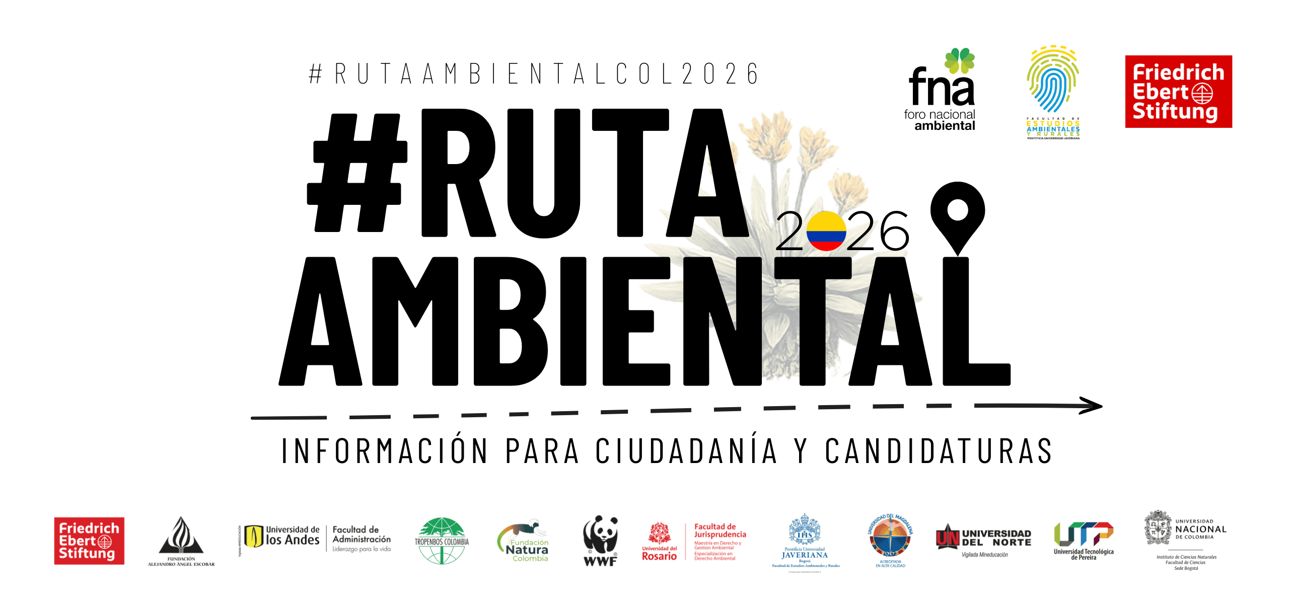 Rutaambiental
